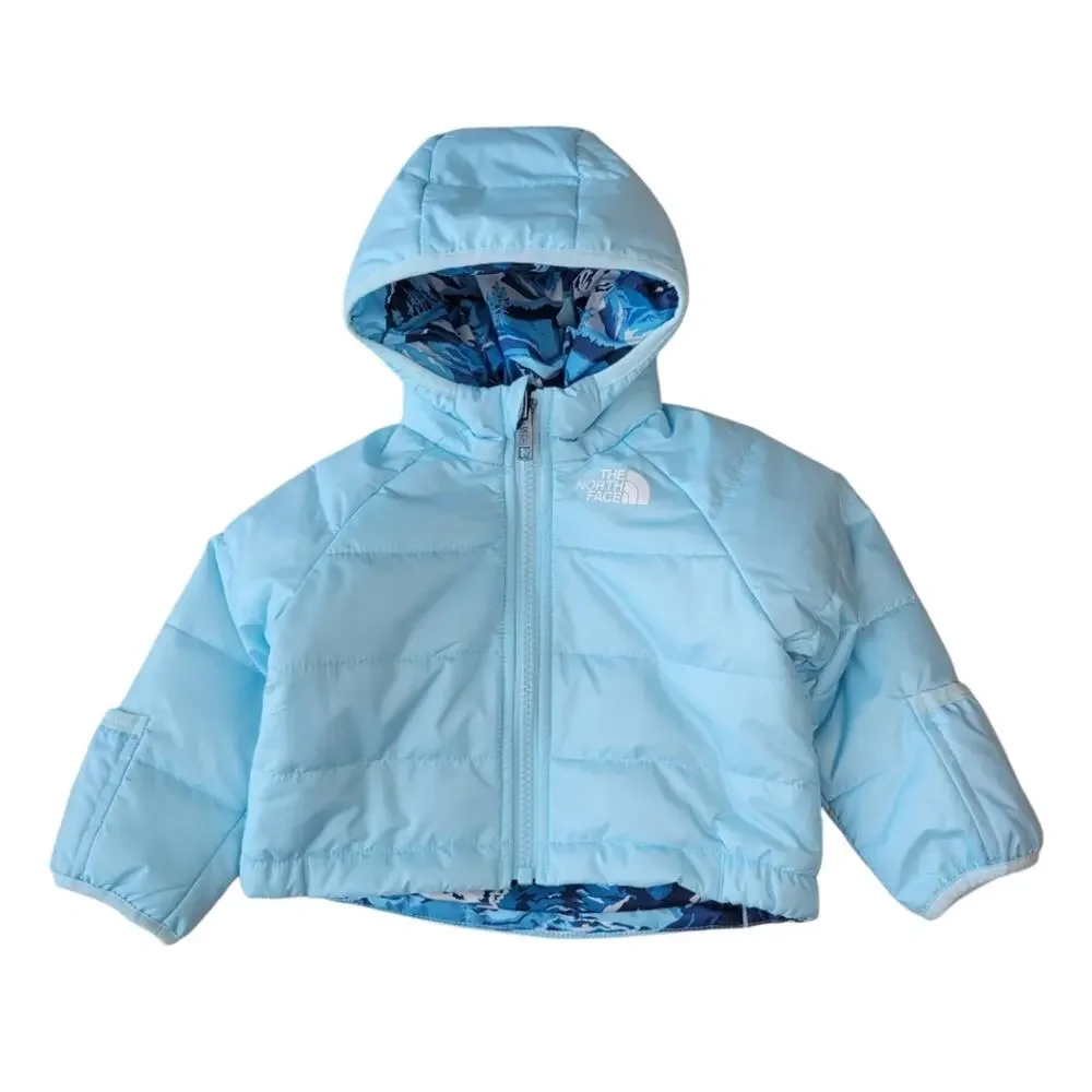 The North Face brand north